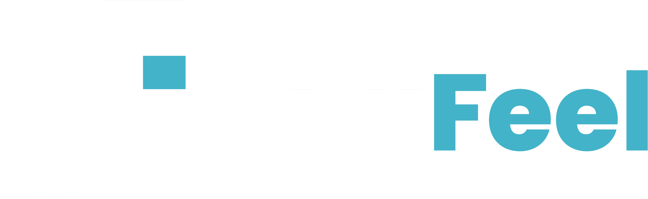 DigiFeel